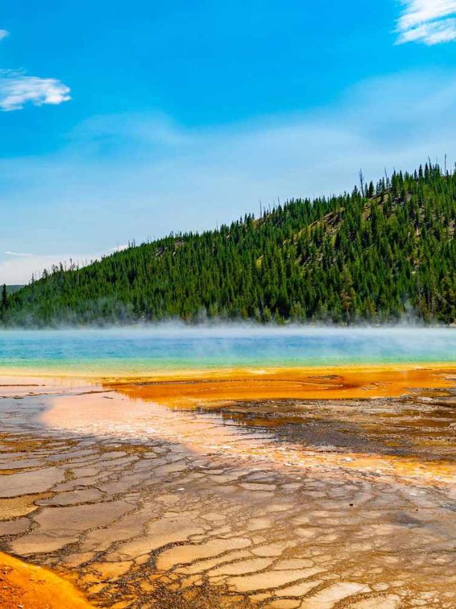 Unveiling Yellowstone's Secrets 10 Mind-Blowing Facts You Never Knew About America's First National Park!